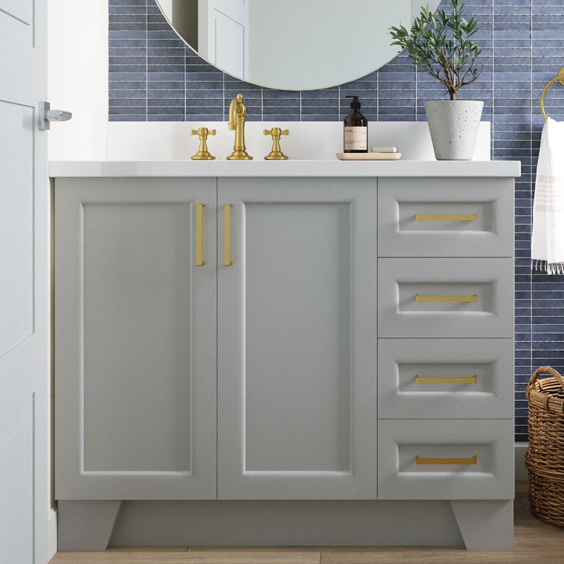 Longshore Tides Freeport 43'' Freestanding Single Bathroom Vanity with